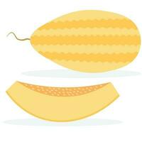 Whole melon and slice on a white background vector