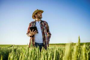 Man is cultivating barley on his land. He is satisfied because of good progress of crops. photo