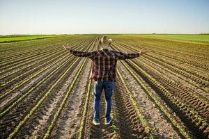 Farmer is cultivating soybean on his land. He is satisfied with early progress of plants. photo