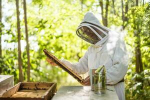 Beekeeper is examining his beehives in forest. Beekeeping professional occupation. photo