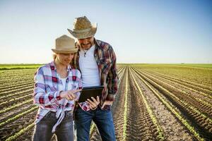 hombre y mujer son trabajando como agricultores en camaradería. ellos son cultivando haba de soja. foto