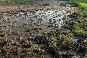 Dirt road after spring rain, close up photo