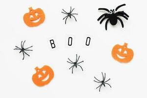 Pumpkins and spiders on a white background. photo