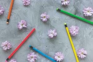 Multicolored pencils and spring or summer flowers photo