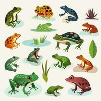 Set Of Different Types Frog Character With Leaves Element. photo