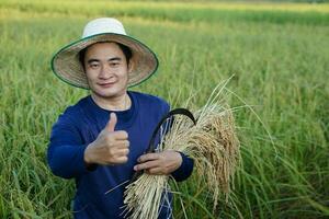 Asian man wears hat, blue shirt is at paddy field, holds sickle and harvest rice. Thumbs up, feels confident. Concept, agriculture occupation, farmer grow organic rice. photo