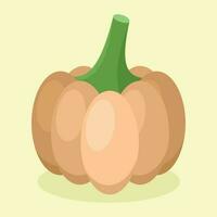 Large Pumpkin, Isolated Background. vector