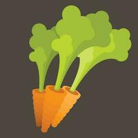 Carrots, Isolated Background. vector