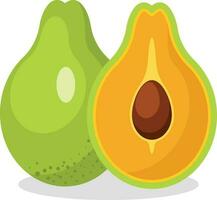 Avocado Fruit, Isolated Background. vector