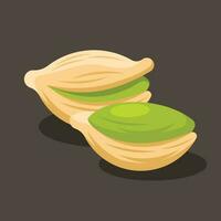 Pistachio, Isolated Background. vector