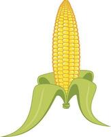 Corn Vector Graphics, Isolated Background.