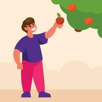 Man Is Picking An Apple, Isolated Background. vector