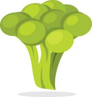 Broccoli Icon, Isolated Background. vector