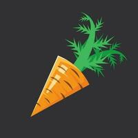 Carrot Vegetable, Isolated Background. vector