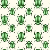 seamless pattern of a scarab beetles, vector insect in shiny green color isolated on a white vintage background