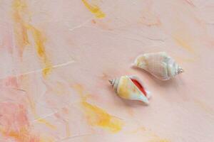 Sea shells on pink pastel background photo