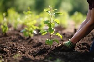 persona plantando joven árbol, de cerca en manos y planta. generativo ai foto