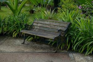 empty wooden bench in the park photo
