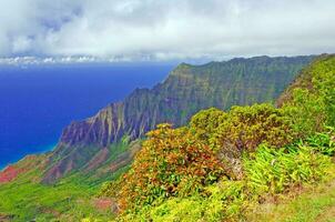 Tropical plants on a rugged island photo