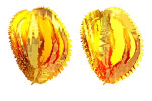 logotipo dourado durian png