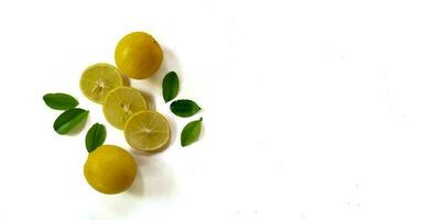 Fresh yellow lemon slice on a white background with green leaves, copy space concept. photo