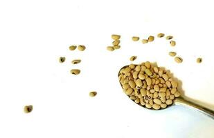 Black eyed beans in a spoon isolated on a white background photo