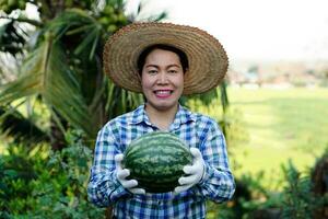 Happy Asian woman gardener wears hat, plaid shirt and gloves hold watermelon fruit in garden. Concept, Satisfied in agricultural product. Home garden and community plant. photo