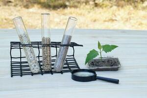 Test glass tubes that contain sample of different soil. Magnifying glass, sample plant.Concept, soil quality inspection, research, science experiment. Laboratory. Find the best from different sources. photo
