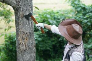 Asian man wears hat, holds axe to cut trunk of tree. Concept, Manual tool for carpenter and lumberjack, woodcutter. Traditional weapon.Bring down tree.Deforestation. Destroy forest. photo