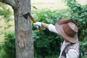 asiático hombre usa sombrero, sostiene hacha a cortar maletero de árbol. concepto, manual herramienta para carpintero y leñador, leñador. tradicional arma.traer abajo árbol.deforestación. destruir bosque. foto