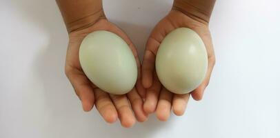 Pato huevos o telur como en en mano en un blanco antecedentes. foto