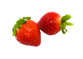 Fresh two strawberry or red berry isolated on transparent background with clipping path or make selection. Healthy food and Fruit. png with transparency