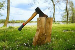 Axe in the stump. Axe impaled in the log. Lake in the background. photo