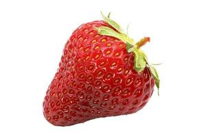 Strawberry. Ripe and juicy strawberry without background. photo