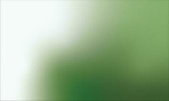 Green and White Background Gradient Illustration photo