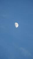 The blue sky view with the curve white moon in the sky in the day photo