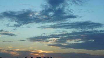 The beautiful sunset view with the buildings' silhouette and orange color sky as background in the city photo