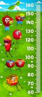 Kids height chart with berry characters on meadow vector