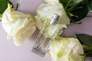 A chic bottle of cosmetic spray or perfume products lies on the white large heads of a white tea rose. Top view. Product presentation. photo