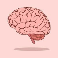 Brain Vector, Illustration. Icon and Graphic vector