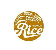 Rice icon premium with spikelets and seeds, label vector