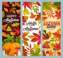 Hello Autumn vector banners with falling leaves