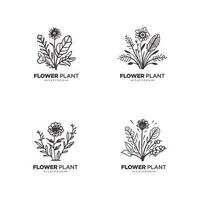 Collection of Botanical and feminine logos and minimal flowers logo icons vector