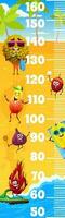 Kids height chart ruler cartoon fruits characters vector