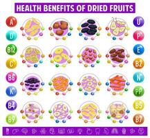 seco frutas gráfico mesa contenido de vitaminas vector