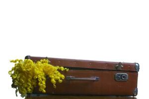 Retro suitcase with a clown wig on a white background. photo