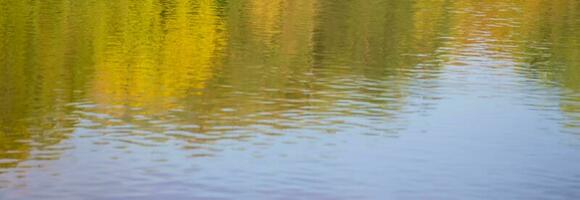 Reflection of autumn colorful forest in blue water.Baner blurred autumn background. photo