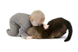 On a white background, the baby is playing with his cat. Funny kids. photo