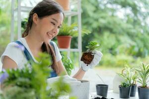 hermosa asiático mujer hembra planta y tomar cuidado arboles en macetas como pasatiempo y relajarse. planta ventas pequeño negocio. casa jardín, selva, jardinero, flor decoración, verde, contento estilo de vida en hogar foto