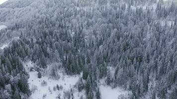 Aerial view of the Carpathian mountains in winter video